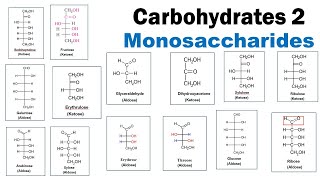 Monosaccharides  Aldoses  Ketoses  Triose  Pentose  Hexose  Dr Ghanshyam Jangid [upl. by Attegroeg]