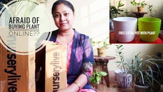 Nurserylivecom Plant Unboxing First Experience Genuine Review Live indoor Plant Online [upl. by Anaujait]