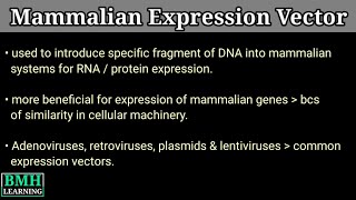 Mammalian Expression Vector  Mammalian Expression System [upl. by Middendorf]