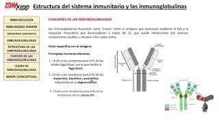 FISIOLOGÍA ESTRUCTURA DEL SISTEMA INMUNITARIO Y LAS INMUNOGLOBULINAS II [upl. by Idna]