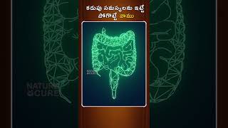 కడుపు సమస్యలను ఇట్టే పోగొట్టే వాము  Vamu Ajwain water Water Health Benefits  Nature Cure [upl. by Oicelem]