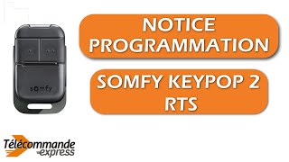 Comment programmer votre télécommande de portail SOMFY KEYPOP 2 RTS [upl. by Einotna]