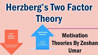 Hertzberg two factor Theory of motivation by Zeshan Umar [upl. by Holbrooke]