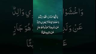 Surah Luqman Ayat 33 Sheikh Masud alfurkan surrah islamicsurah [upl. by Noyerb]