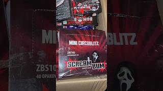 Scream Bum Circoblitz NEU 2024 😱 feuerwerk fireworks hydra silvester böller [upl. by Crowe]