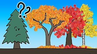 The Real Reason Leaves Change Color In the Fall [upl. by Pinelli]