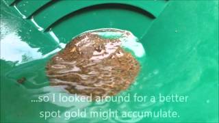 Gold Panning in Puerto Rico  Gold Detectors [upl. by Llednik]