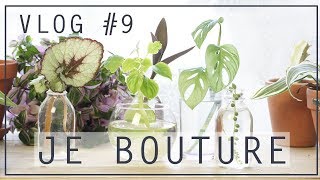 🌱 Vlog bouturage  je bouture mes plantes dintérieur   Vlog 8 [upl. by Faden]