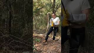 Canebrake  Timber Rattlesnake in South Georgia November 2021 [upl. by Darrin15]