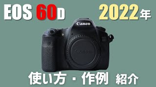 【使い方・作例紹介】EOS 60Dは3万円で買える高コスパ機！ おすすめAPSCカメラ！ [upl. by Aicinoid]