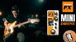 Rainger FX Mini Drone  Guitar Pedal Demo [upl. by Sorodoeht505]