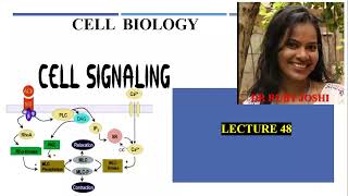 Cell Signaling Lecture48 Cell Biology Mode of Signaling NFkB pathway Wnt Signaling [upl. by Nitsuj]