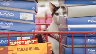 Supermarketi  Agjenti 00 Maç  NGOPTV [upl. by Hemphill]