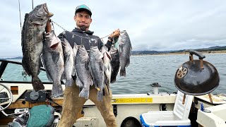 Best Day of Fishing  LIMITS Grilled in the Boat [upl. by Ellezaj]