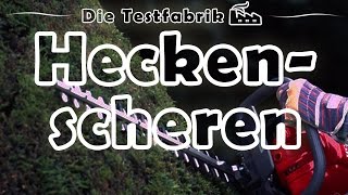 ✂️ Akku Heckenschere Test – 🏆 Top 3 Akku Heckenscheren im Test [upl. by Mcmurry]