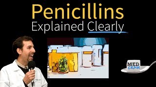 Penicillins  Antibiotics Explained Clearly [upl. by Dorise]