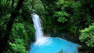 waikato river new zealand [upl. by Nelyahs]