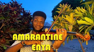 Amarantine  Enya  Violin Cover By ItsNightingale [upl. by Yreffoeg]