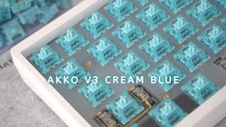 Akko V3 Cream Blue  creamy and crunchy tactile switch [upl. by Alyat]