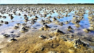 Wandern an der Nordsee  Wattwandern auf Langeoog2018 4k [upl. by Nesilla40]