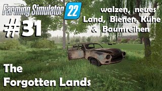 LS22 The Forgotten Lands 31 walzen neues Land Tiere amp Deko am Feld  Farming Simulator 22 [upl. by Solraced]