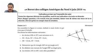 Exercice brevet 2019  Pythagore  Trigonométrie  Thalès [upl. by Vanthe]