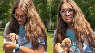 New Puppy Surprise Compilation 2023  Wholesome Surprise Moments [upl. by Yortal]