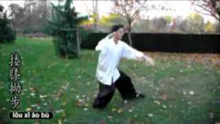 Tai Chi Chuan Forme 48  48式太极拳 [upl. by Dyol28]