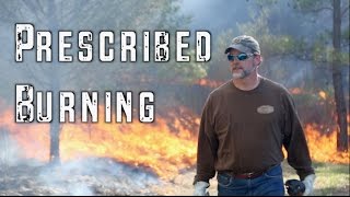 Toxey Haas  Prescribed Burning  Part 1 [upl. by Blakeley]