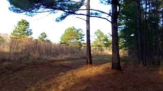 Camino Real  Mission Tejas State Park [upl. by Mackay]