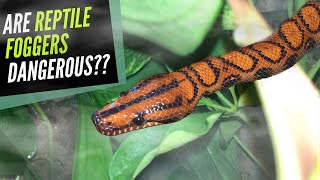 DIY Reptile Fogger AVOID 2 COMMON MISTAKES [upl. by Bollen460]