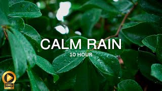 10 Hour  Spiritual Rain Meditation  Insomnia  Study  Focus  Spa  Calming Background Ambience [upl. by Aciruam]