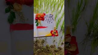 How to Decorate Diary With Flower vlog decoration reels decoratediarytravelvideo trending [upl. by Anselmi]