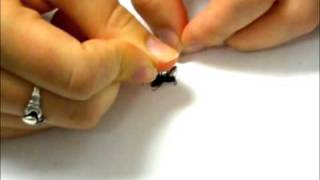 How to Make an Insect Collection Part 7 of 11 Pinning [upl. by Peedsaj797]