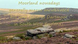 Heathland and Moorland biomes Movie [upl. by Yblok]