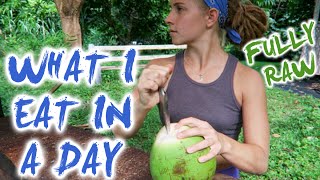 What I Eat In A Day  FULLY RAW [upl. by Ellora253]