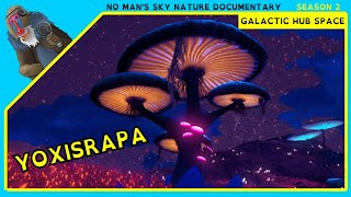 An Interlopers Guide to Yoxisrapa  No Man’s Sky Nature Documentary  Galactic Hub Space [upl. by Veradia12]