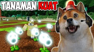 OBIT BELI TANAMAN SUPER KUAT UNTUK MENGALAHKAN ZOMBIE  Roblox Plant Vs Zombie 2 [upl. by Razaile]