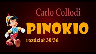 PINOKIO AUDIOBOOK  rozdział 3036  C Collodi  Pinokio zamiast stać się chłopcem ucieka [upl. by Leoline]