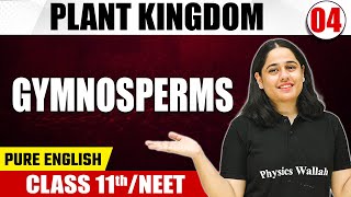 PLANT KINGDOM 04  Gymnosperms  Botany  Pure English  Class 11thNEET [upl. by Adriell]