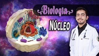 Biologia — Núcleo Celular │ [upl. by Tarsuss]