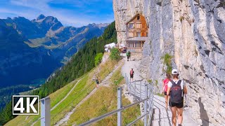 Hike to famous cliff restaurant – Aescher🇨🇭 Ebenalp Switzerland [upl. by Aden]