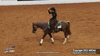 Hazardouz Material Erin Taormino Snaffle Bit Futurity Open Bridle Finals 2022 [upl. by Wampler]