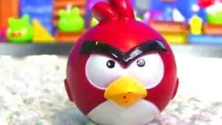 Epic Angry Birds War  Must See [upl. by Marrilee]