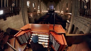 Pipe Organ An instrument the size of a building [upl. by Aihtekal]