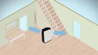 Dehumidifiers How do they work [upl. by Rattan358]