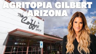 Under 500K in Agritopia Gilbert Arizona [upl. by Idnat646]