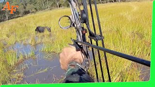 🐗 Pig Compound Bow Hunting Australia Wild Boars EP21 [upl. by Hansen]