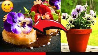 5 Edible Flowers That Grow Fast amp Easy [upl. by Akired334]