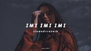 Tayc Ny Pense Plus imi imi imi Slowed Reverb  Lofi Song [upl. by Lorelie]